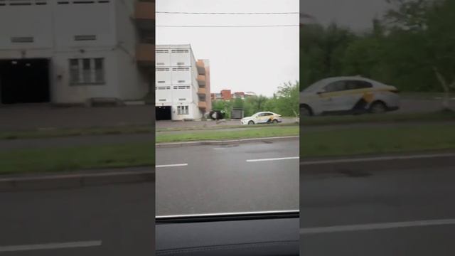 В Москве страус-спринтер бегает наперегонки с машинами смотреть онлайн