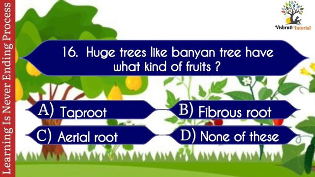 quiz on plants | plants quiz | plants name | plants gk questions | gk quiz on plants | plants part смотреть онлайн