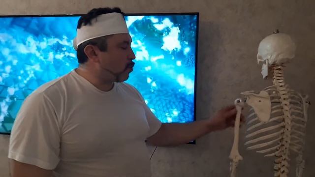 Анатомические ориентиры в работе массажиста! Графика мышц и костей на теле Человека! смотреть онлайн