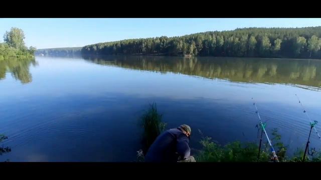 ПРОСТИЛИСЬ С БОБРОМ @user-hh6ob7pl8l смотреть онлайн
