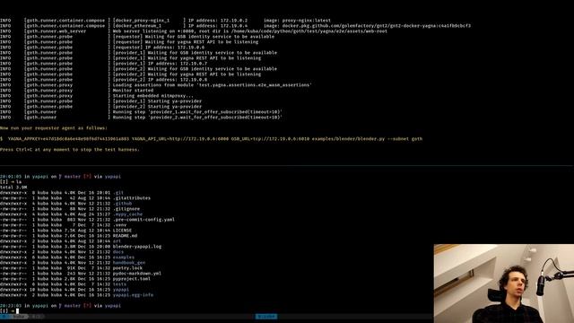 Golem Test Harness (Goth) Interactive Mode смотреть онлайн