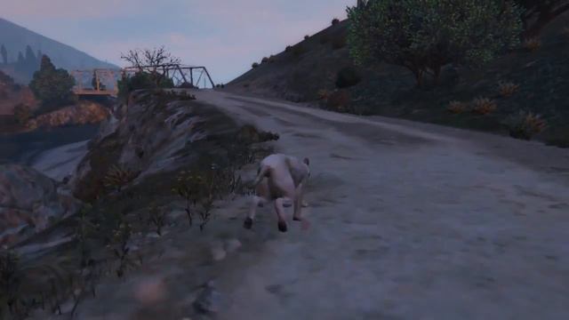 GTA 5 Играем рысью лофофора смотреть онлайн