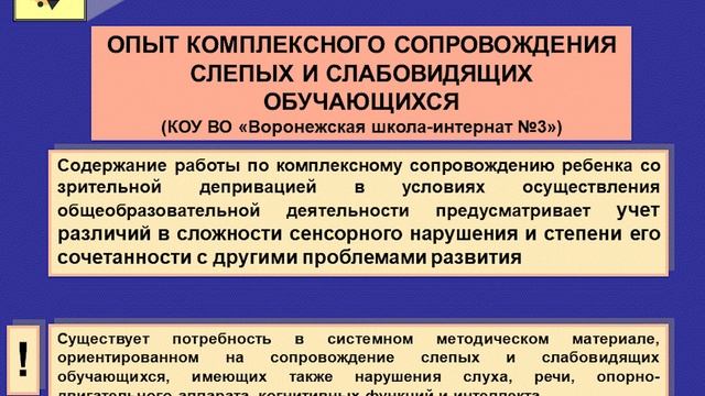 Кравченко В.Ю. и др. Комплексное сопровождение детей со зрительными депривациями в условиях осущ... смотреть онлайн