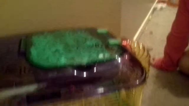 Snowbelle the hamster смотреть онлайн