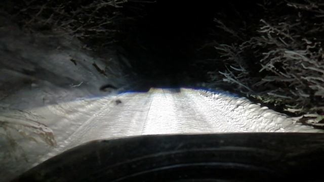 Линзы Аозум +Нива