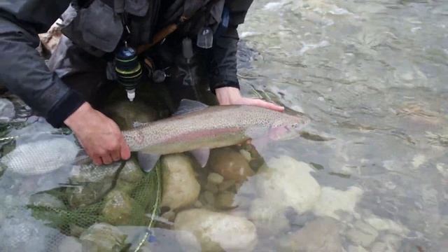 Rettenbach Rainbow Release смотреть онлайн