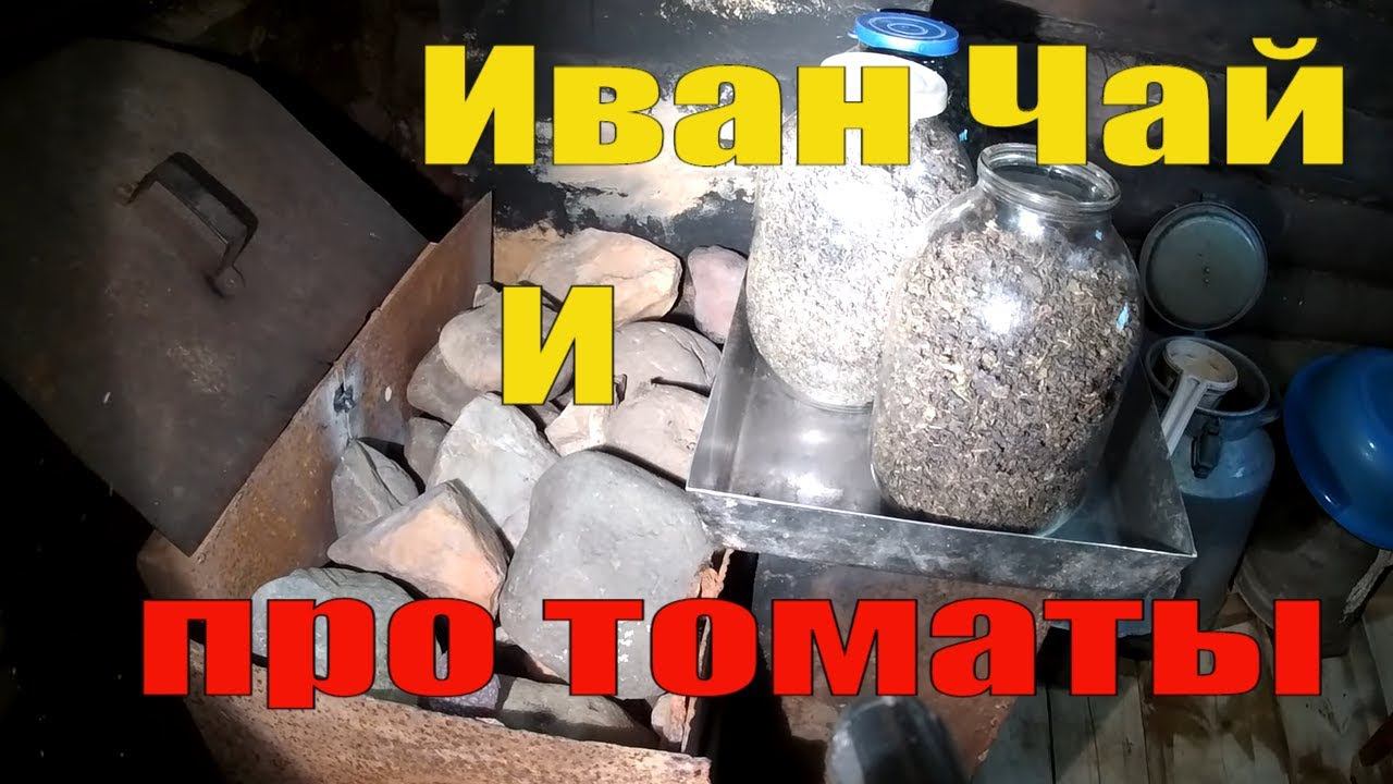 Простой РЕЦЕПТ ВКУСНОГО ИВАН ЧАЯ // ОГОРОД - ПОМИДОРЫ ПЕРВЫЙ УРОЖАЙ ТОМАТОВ смотреть онлайн