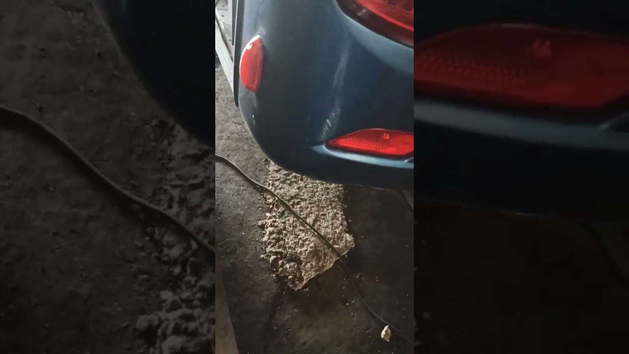 Вечный спор: заливать или нет? смотреть онлайн