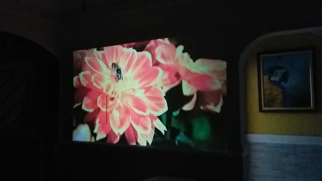 Salange Q11 - Good And Cheap Projector (Mini Projector, Only US$40)