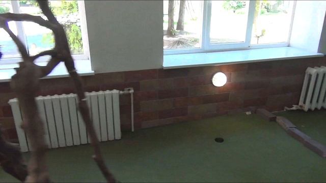 Выпускной на природе 4 класс смотреть онлайн