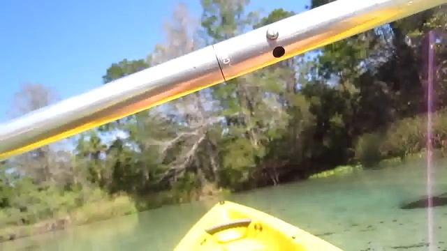 № 568 США Река Weeki Wachee Spring Hill Florida March 2011 смотреть онлайн