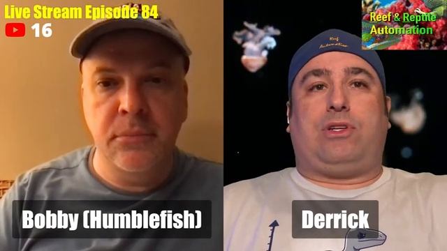 Reef Automation Live Stream Ep 84 - Let's discuss QT and Fish diseases with Humble.fish! смотреть онлайн