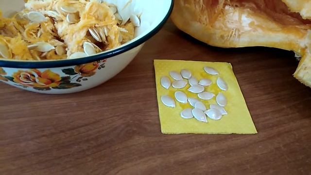 Делаем свои семена тыквы