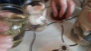 Консерва из пелингаса. Простой рецепт старого рыбака.