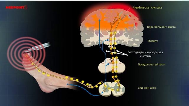 Семь раз отмерь