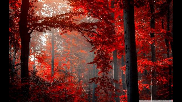 ??Relaxing Music: Celtic Music to Relax ?? смотреть онлайн