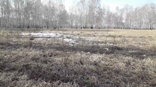 Анекдот как муж жену подколол. смотреть онлайн
