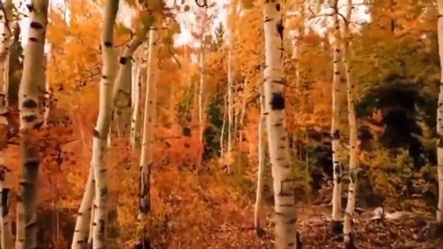 Олень. Стихотворение и картина-образ . Анжела Рудченко (Адлер) смотреть онлайн