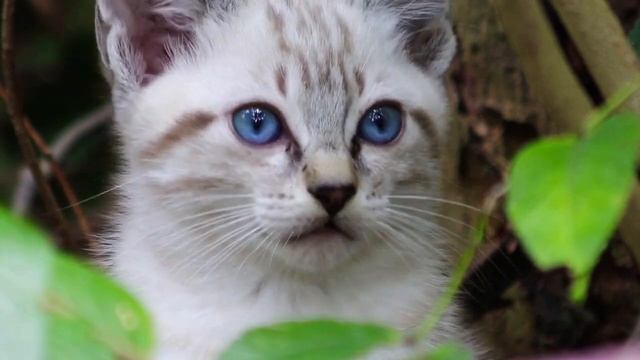 Как Валентина посмела умереть? Для кого и для чего были потрачены эти десять лет? И как жить дальше смотреть онлайн