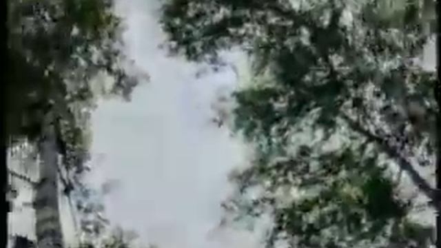 Габдельфат Сафин  Венера Шамиева   Хыянэт