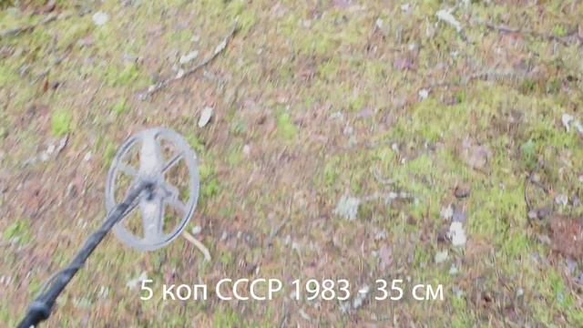 АКА Сигнум МФТ - тест глубины с двухчастотной катушкой 12"х9", 7-14 кГц смотреть онлайн