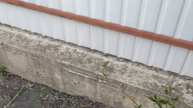 Обрезка сада(что оставить и зачем) смотреть онлайн