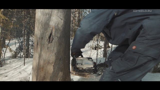 Заготовка сухостойной Полярной сосны Кело смотреть онлайн