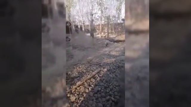 Незабудки смотреть онлайн