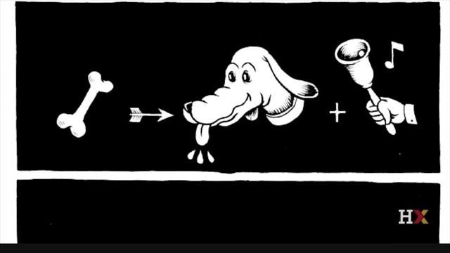 FREE HARVARD, PRINCETON & YALE ONLINE COURSES ?| #stayhome & #Studywithme смотреть онлайн