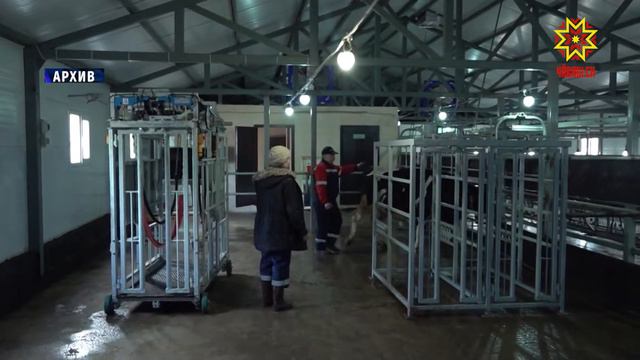 В Доме Правительства обсудили вопросы сезонного снижения закупочных цен на молоко смотреть онлайн