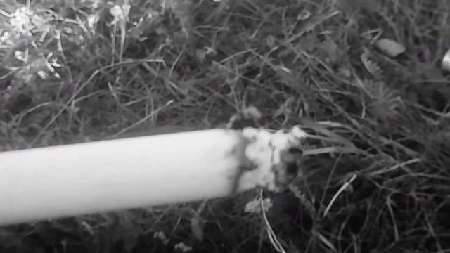 GSPD-Героиновый шик(NISS)