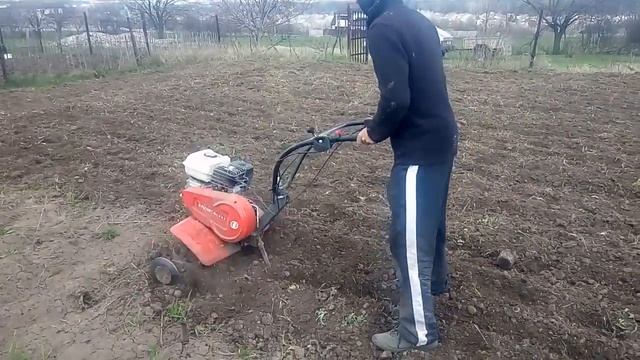 Как пашет культиватор Пуберт АРО смотреть онлайн