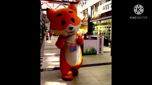 типо Широкая фокси из Фокстрот смотреть онлайн