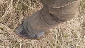 Клещи на звериных тропах в лесу