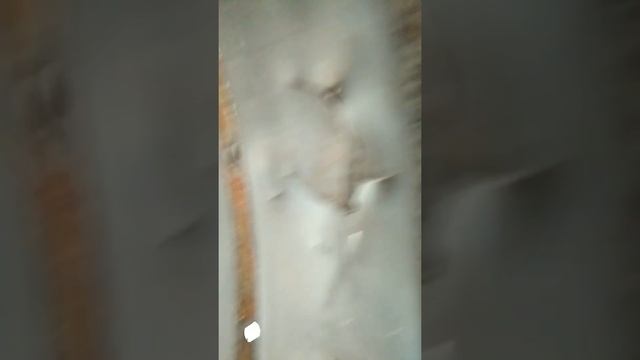 Case 2388 ,не дасть заскучати, ремонт перед пізніми жнивами.?? смотреть онлайн