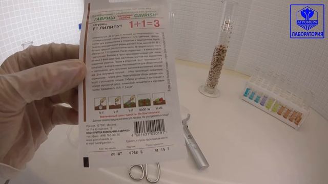 Огурец Лилипут. Гавриш смотреть онлайн