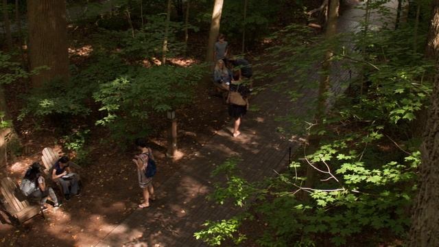 Longwood Gardens | 4.3K 1x3 Canon EOS 650D/T4i Magic Lantern RAW смотреть онлайн