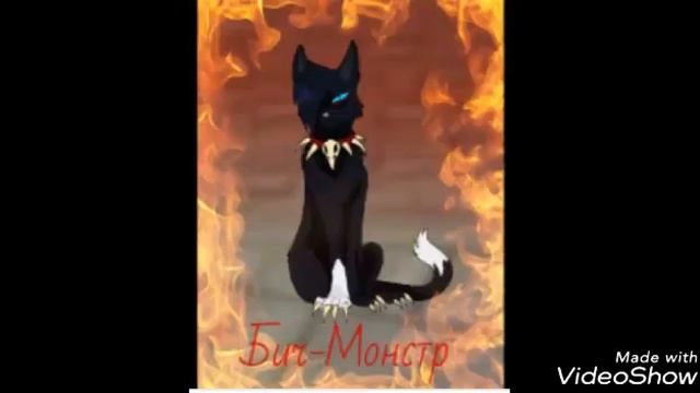Коты воители миру мир !!!! смотреть онлайн