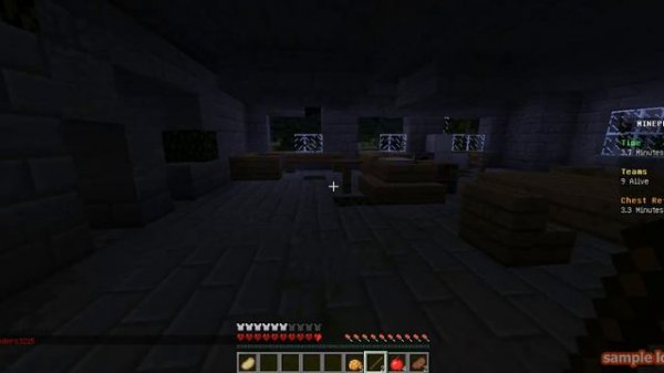 Hunger Games #4 как выиграть. Я НА ВТОРОМ МЕСТЕ