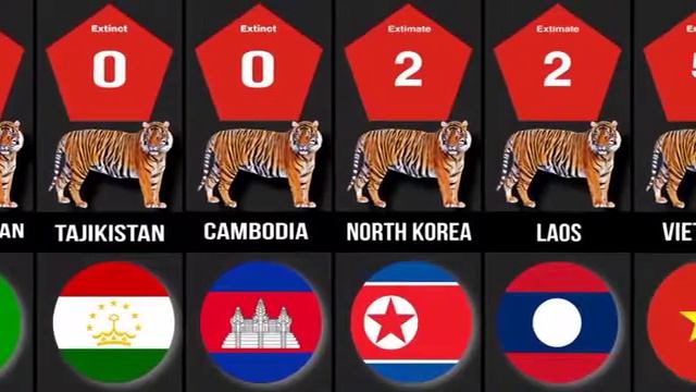 Количество Тигров в стране в 2022 году🐆🐆🐆🐅🐅🐅🐅 смотреть онлайн