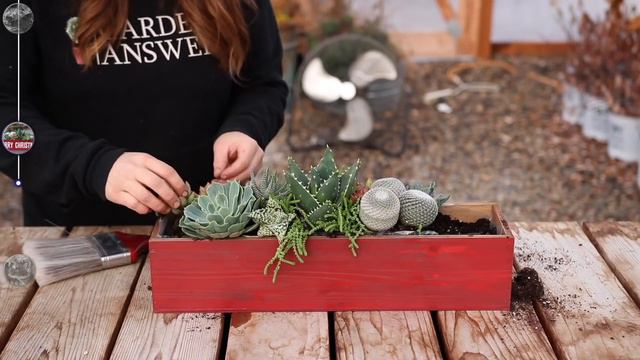 3 Christmas Themed Succulent Arrangements! 🌿 смотреть онлайн