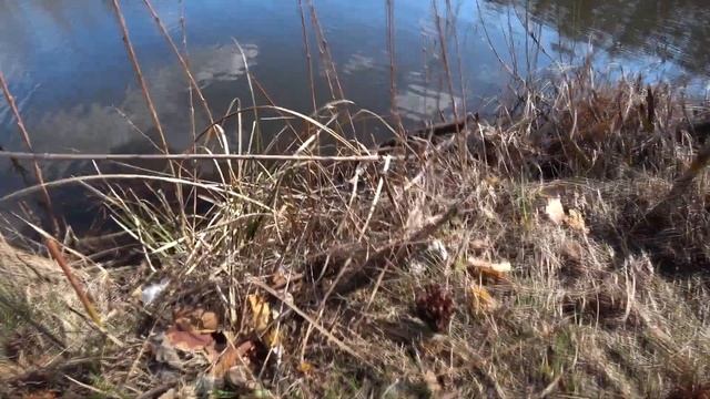 Ловля щуки в нерест! Рыболовная база Щарка смотреть онлайн