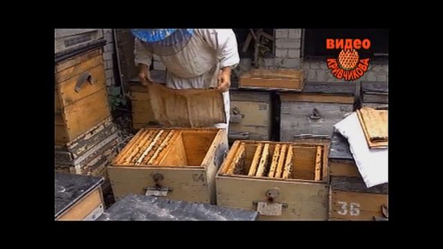 Расширение семьи после деления на пол-лёта. смотреть онлайн