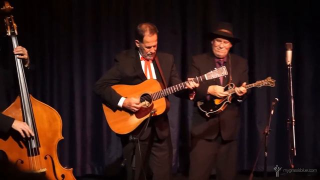 Wayne Taylor & Appaloosa | Cherokee Shuffle | Kilworth, Ireland смотреть онлайн