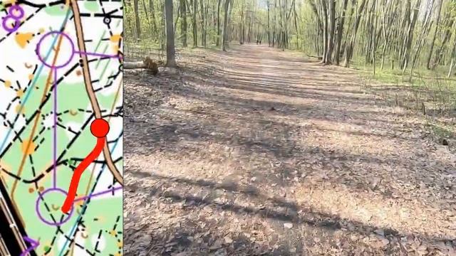 Спортивное ориентирование от первого лица.Видео с дистанции. Жесткий залет 8кп, так я еще не попада смотреть онлайн
