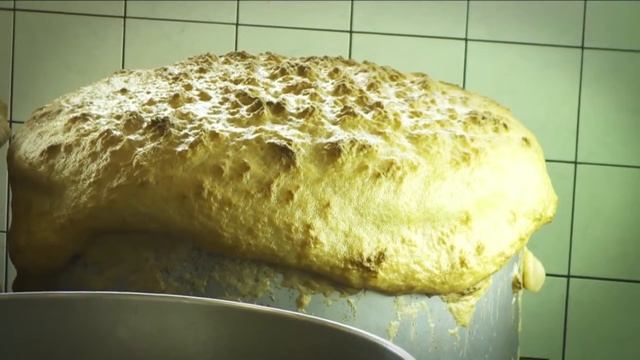 Projeto Inovador - Levedura Selvagem para Panificação смотреть онлайн