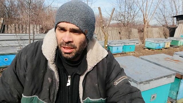 Пасека без пчеловода, что делаю на пасеке.