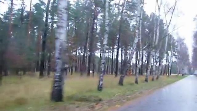 Гарнизон Гросс Дольн ноябрь 2010 смотреть онлайн