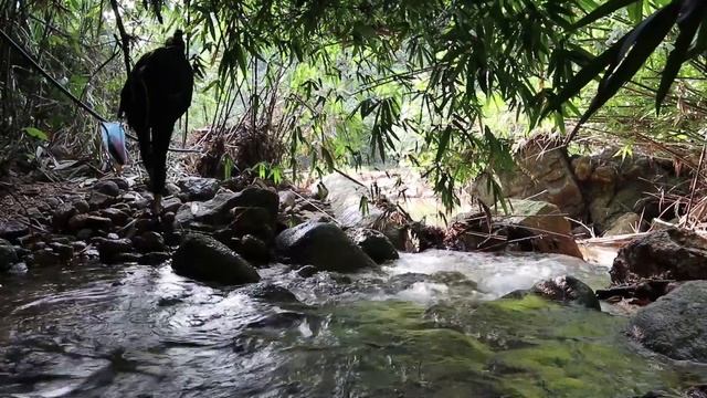 30 days solo bushcraft, camping, making shelter, cooking alone in the woods смотреть онлайн