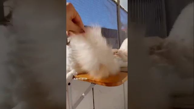 Даллас смотреть онлайн